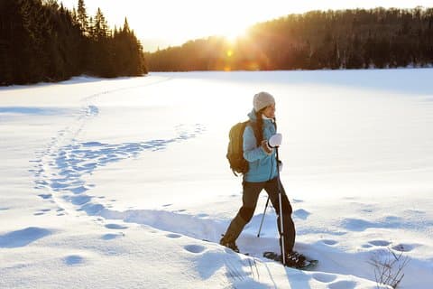 Rovaniemi Snowshoe Hike in Lappish Wilderness