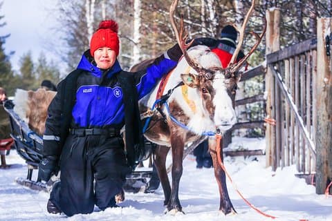 Snowmobile Safari to Reindeer Farm - Saariselkä