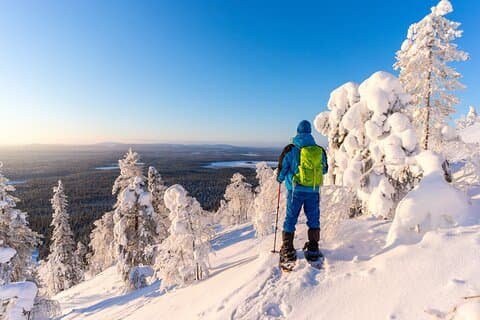 Lapland Winter Experience
