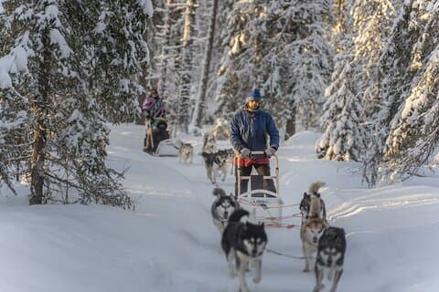 Snowy Trails 10km Husky Safari from Rovaniemi