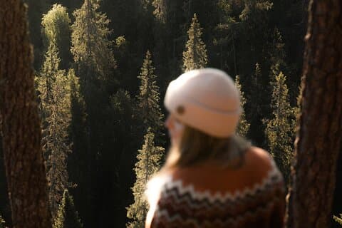 Rovaniemi: Insider Summer Korouoma Waterfalls
