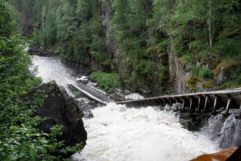 Rovaniemi: Insider Summer Auttiköngäs Hiking Tour