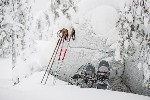 Rovaniemi Insider: Arctic Snowshoeing Adventure
