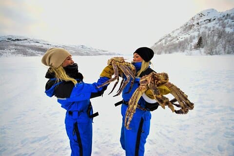 King Crab Safari and visit a Snowhotel from Saariselkä