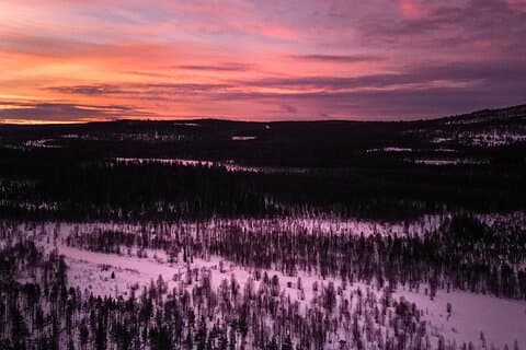 Snowmobile Sleigh Adventure in Authentic Lapland