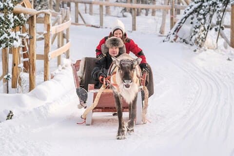 Rovaniemi: Reindeer Safari & Sled Ride with Sámi Heritage