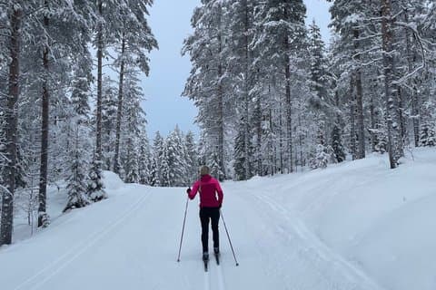 Private Cross Country Skiing For Beginners