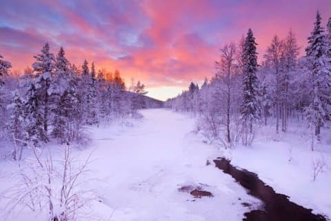 Levi to Rovaniemi Transfer and Photoshoot