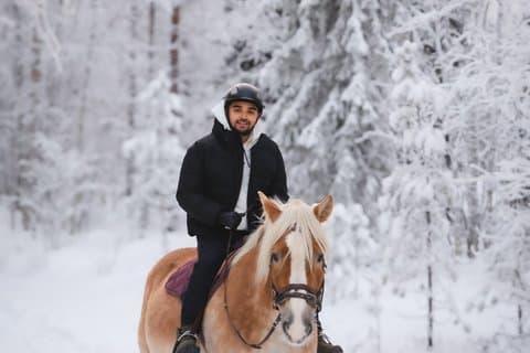 Riding Tour with Finnhorses at Santa Claus Village