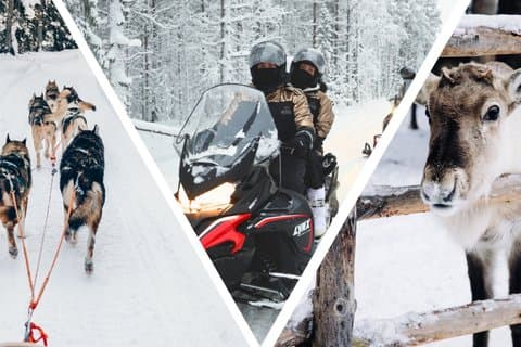 Husky Ride, Reindeer Ride and Snowmobiling Day Experience