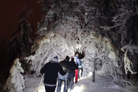 Magic of Vuokatti Northern Lights on Snowshoes