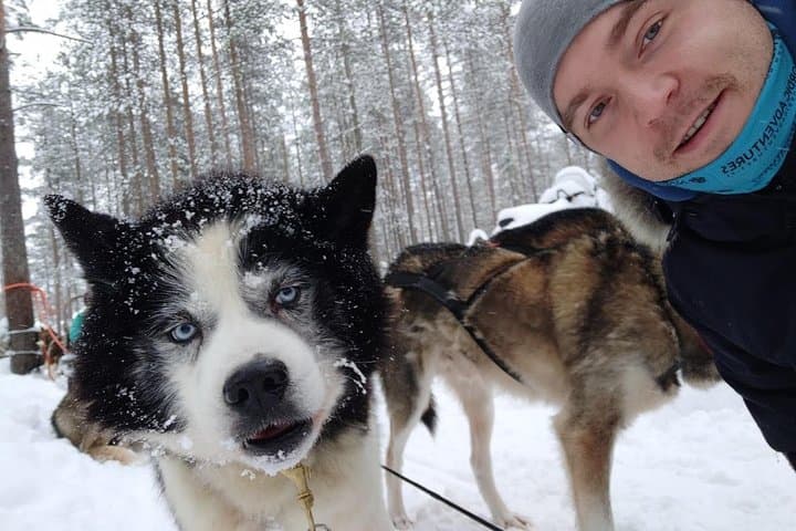 Santa Claus Village Guided Tour & Arctic Animals Adventure