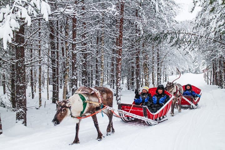 Snowmobile Safari to Reindeer Farm - Saariselkä