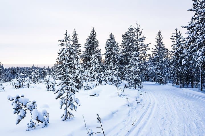Snowmobile Safari on Tundra - Saariselkä