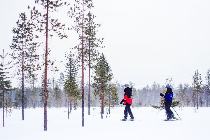 Snowshoe Experience in Lapland Forest - Rovaniemi