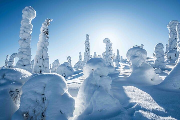 Riisitunturi wilderness adventure