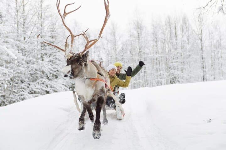 Santa Claus Village Day Tour with Hotel Pick up & Drop off