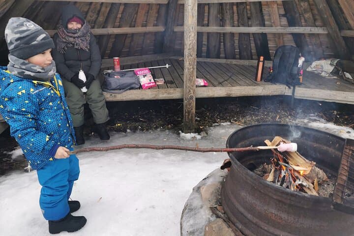 Traditional Sight-Skiing Experience in Kemi