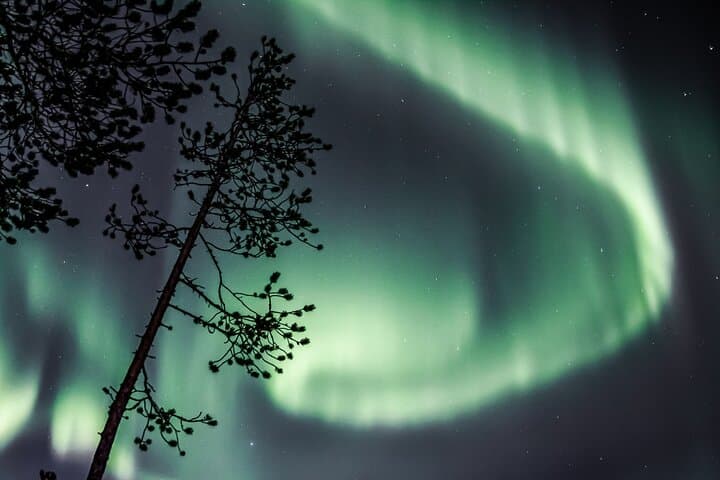 Aurora Hunting Photo Tour from Rovaniemi with Pickup