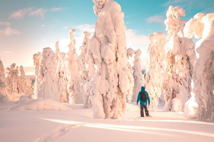 Lapland Winter Experience