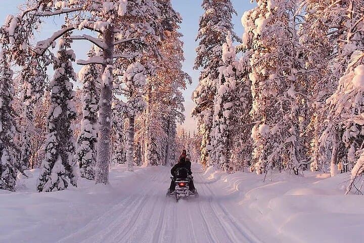 Full Day Snowmobile Safari
