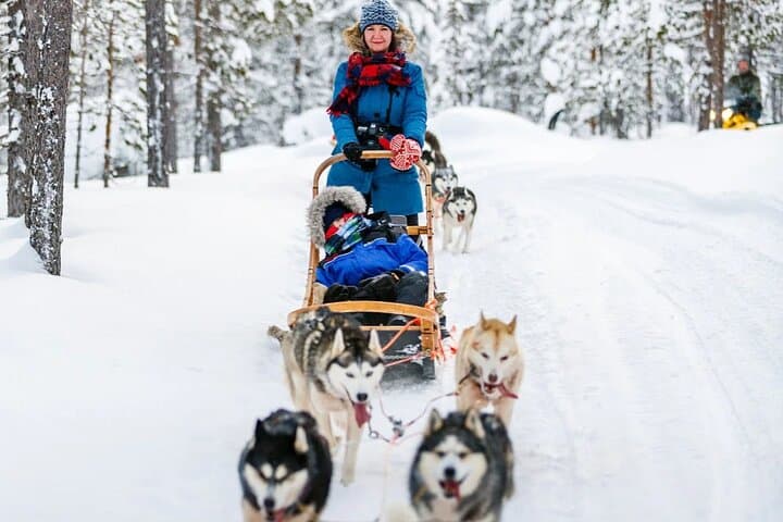 Snowy Trails 10km Husky Safari from Rovaniemi