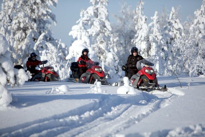 Snowmobile Safari 2h