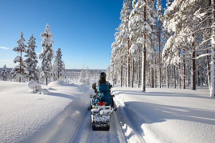 Snowmobile Safari 2h
