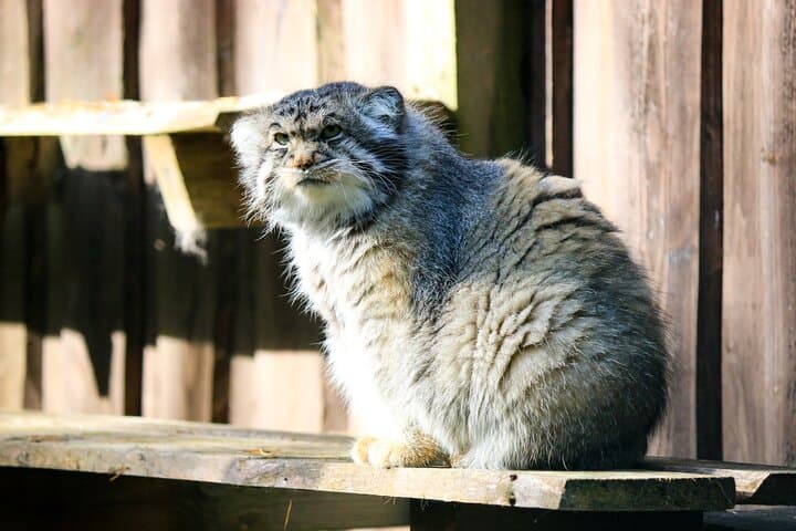 Ranua Wildlife Park in Finnish Lapland