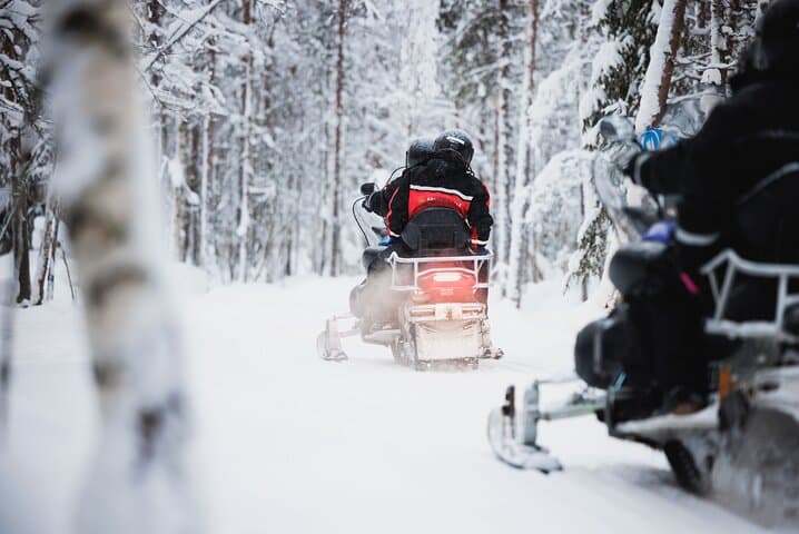 Husky and Reindeer Experience With Snowmobiling