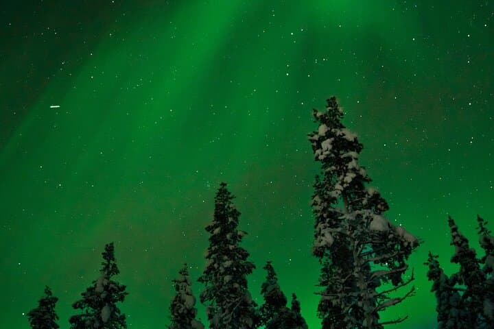 Rovaniemi: Northern Lights Tour