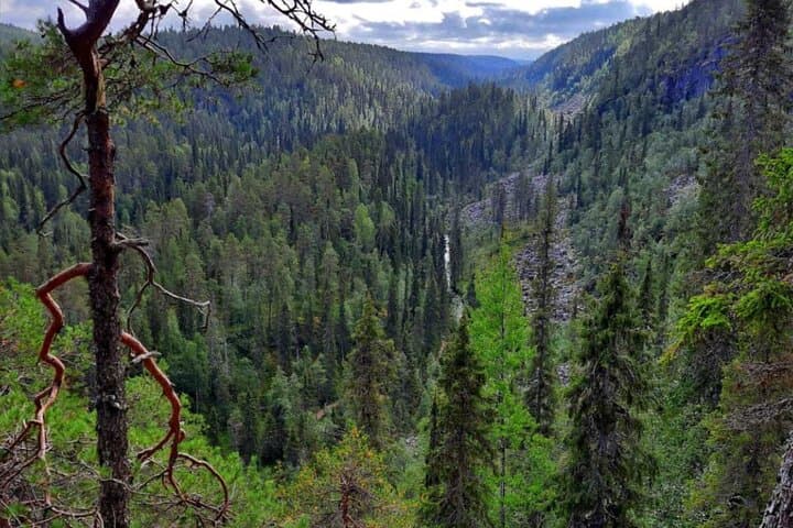 Rovaniemi: Korouoma Canyon Hike and Barbecue Experience