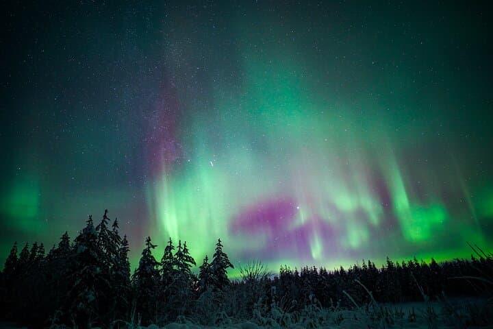 Northern Lights in Rovaniemi