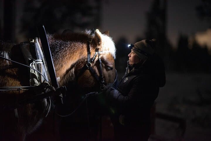 Magical Night Sleigh Ride along Santa's Paths