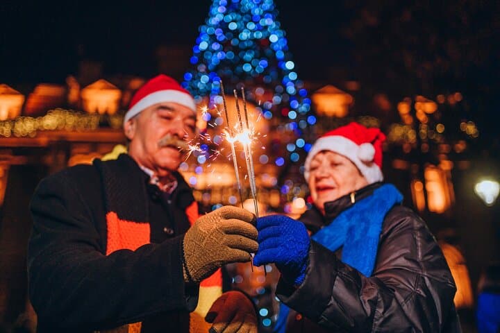 Jyväskylä Christmas Delights Expedition - Private Tour