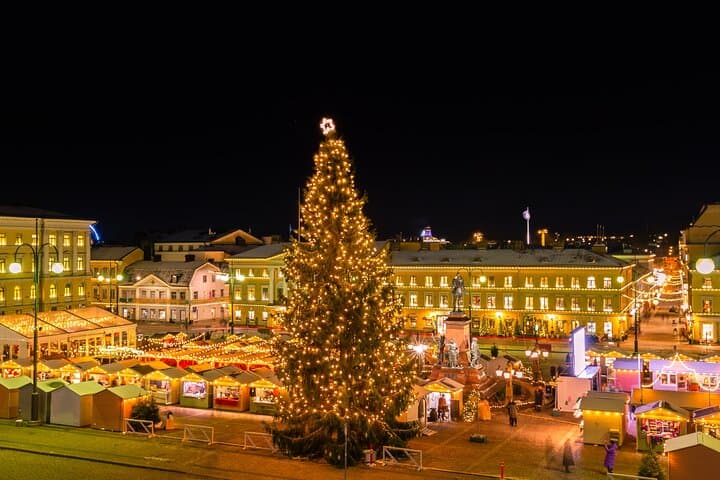 Jyväskylä Christmas Delights Expedition - Private Tour