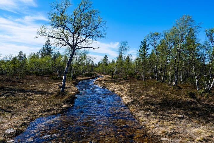 eFatbiking in Saariselkä