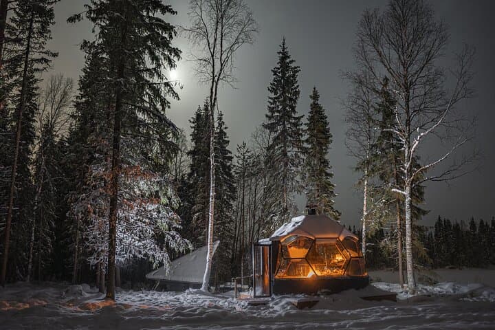 Dinner with Northern Light hunt in Rovaniemi