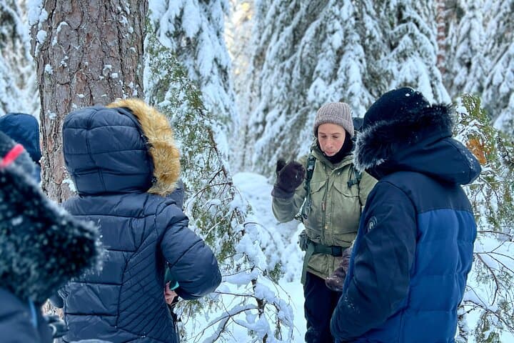 Winter Wonderland Hike in a National Park
