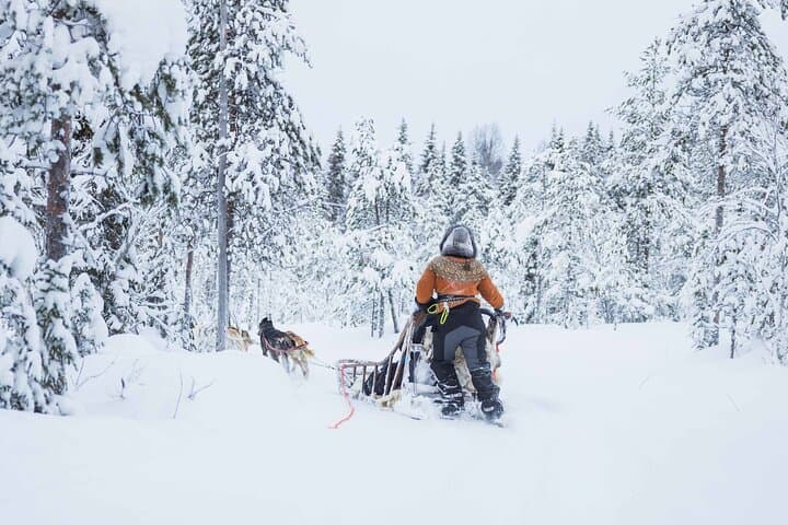Husky Farm Visit in Rovaniemi