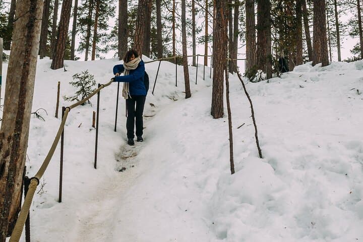 Korouoma Canyon: Frozen Waterfalls Hike & BBQ Experience