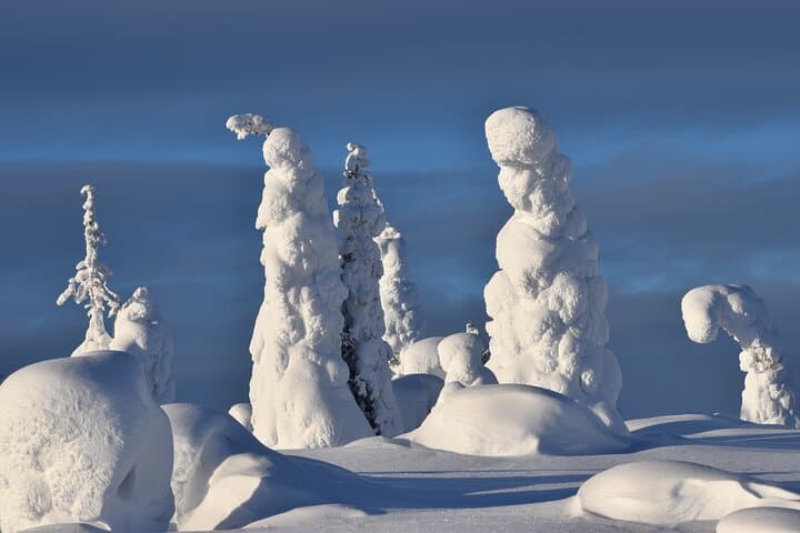Riisitunturi National Park
