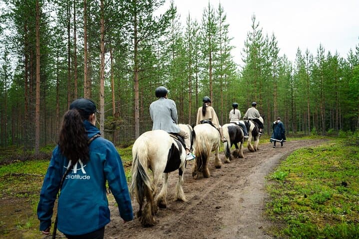 Horse Riding: a Summer Adventure in Lapland