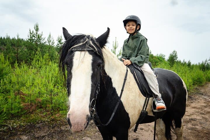 Horse Riding: a Summer Adventure in Lapland