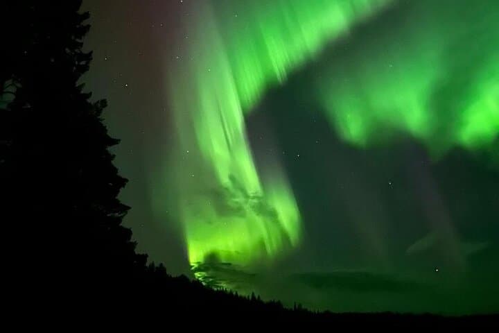 From Rovaniemi: Northern Lights Tour with Campfire Snacks