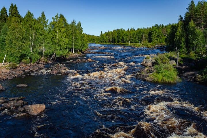 Guided Hike in Lapland: an Immersion in the Wilderness