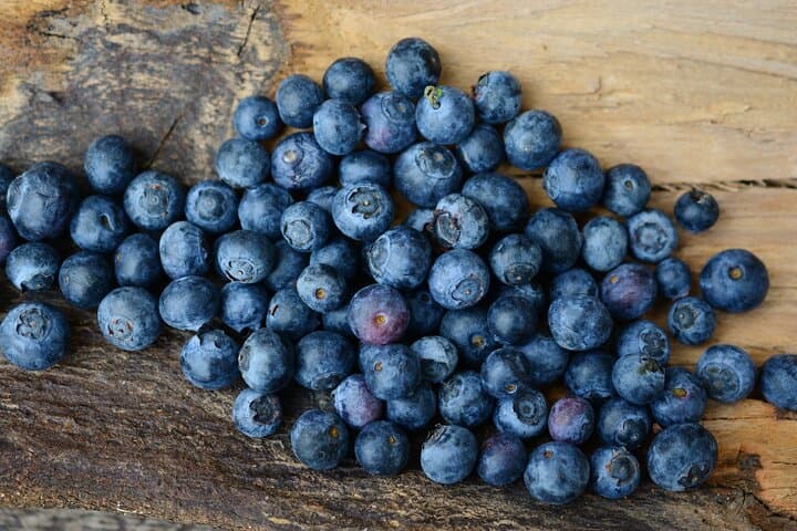 Berry Picking Adventure with BBQ in Lapland
