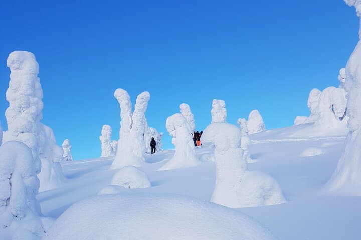 Riisitunturi National Park Snowshoe Adventure from Ruka-Kuusamo