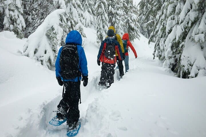 Snowshoeing tour with Wild Lunch