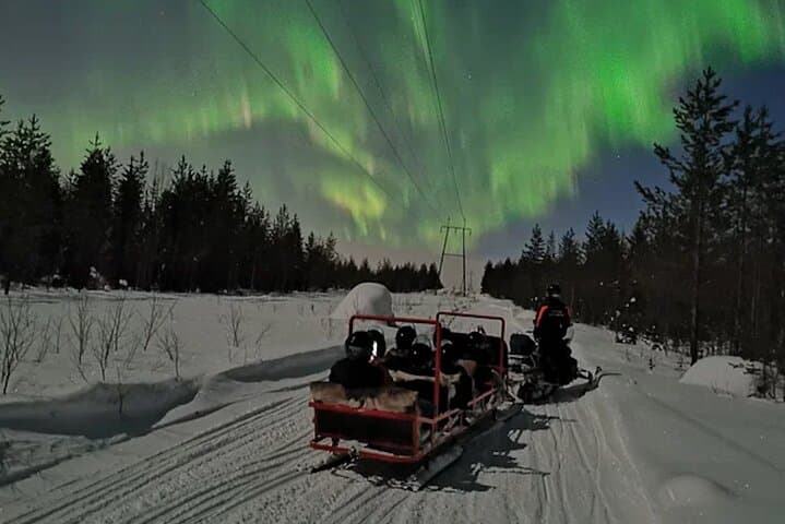Northern Lights Sledge Ride in Levi